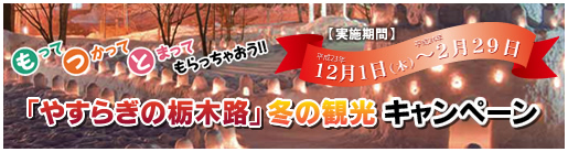 �u�₷�炬�̓ȖؘH�v�~�̊ό��L�����y�[��